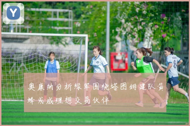 奥康纳分析绿军围绕塔图姆建队黄蜂或成理想交易伙伴